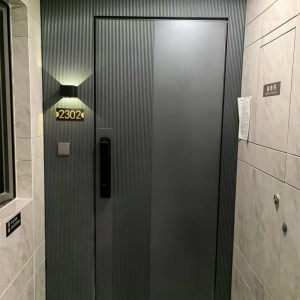 入户防盗门系列